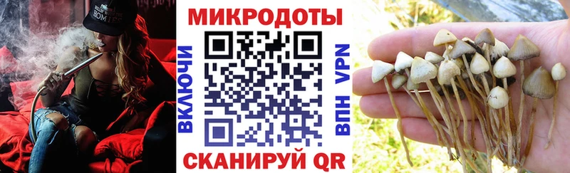 Галлюциногенные грибы Magic Shrooms  наркошоп  Геленджик 